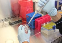 What is lab-grown meat? Guide: lab-grown meat