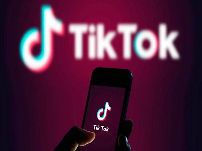 Does TikTok tell you who shared your video